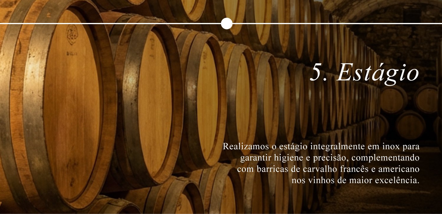 ProducaoAdegadaMorgada-5