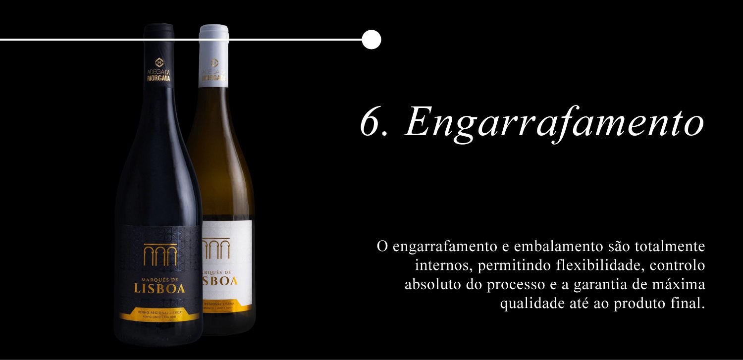 ProducaoAdegadaMorgada-6